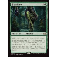 形なき始まり/Formless Genesis《日本語》【DSC】
