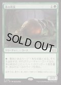 漁る軟泥/Scavenging Ooze《日本語》【DSC】
