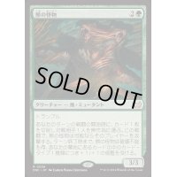 熊の怪物/Ursine Monstrosity《日本語》【DSC】