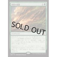 神秘の痕跡/Trail of Mystery《日本語》【DSC】