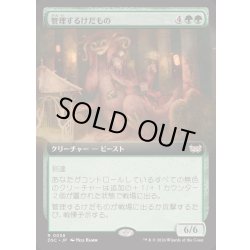 画像1: [EX+](フルアート)管理するけだもの/Curator Beastie《日本語》【DSC】