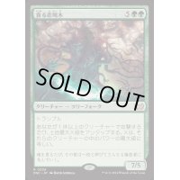 貪る悲鳴木/Shriekwood Devourer《日本語》【DSC】