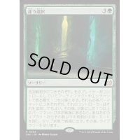 迷う選択/Disorienting Choice《日本語》【DSC】
