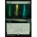 (フルアート)迷う選択/Disorienting Choice《日本語》【DSC】