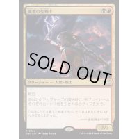 嵐拳の聖戦士/Stormfist Crusader《日本語》【DSC】
