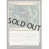 選別の儀式/Culling Ritual《日本語》【DSC】