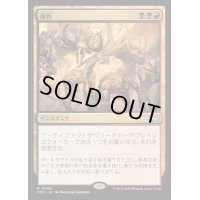 魔性/Bedevil《日本語》【DSC】