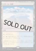 [EX]アダーカー荒原/Adarkar Wastes《日本語》【DSC】