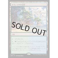 ヤヴィマヤの沿岸/Yavimaya Coast《日本語》【DSC】