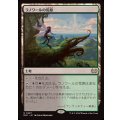ラノワールの荒原/Llanowar Wastes《日本語》【DSC】
