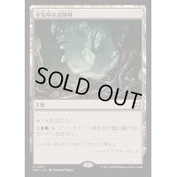 不気味な辺境林/Grim Backwoods《日本語》【DSC】