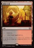 偶像の石塚/Graven Cairns《日本語》【DSC】