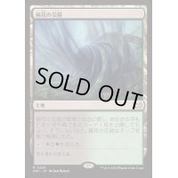 屍花の交錯/Necroblossom Snarl《日本語》【DSC】