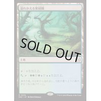 溢れかえる果樹園/Flooded Grove《日本語》【DSC】