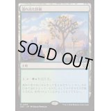 溢れ出た区画/Overflowing Basin《日本語》【DSC】