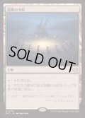 [EX+]溺墓の寺院/Drownyard Temple《日本語》【DSC】