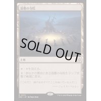溺墓の寺院/Drownyard Temple《日本語》【DSC】
