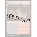 燻る湿地/Smoldering Marsh《日本語》【DSC】