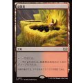 硫黄泉/Sulfurous Springs《日本語》【DSC】