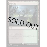 [EX+]緑ばんだ沼/Viridescent Bog《日本語》【DSC】