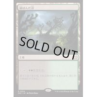 [EX+]緑ばんだ沼/Viridescent Bog《日本語》【DSC】