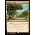 風変わりな果樹園/Exotic Orchard《日本語》【DSC】