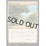 風変わりな果樹園/Exotic Orchard《日本語》【DSC】