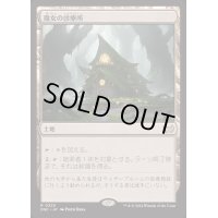 魔女の診療所/Witch's Clinic《日本語》【DSC】