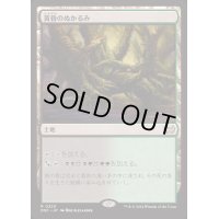 黄昏のぬかるみ/Twilight Mire《日本語》【DSC】