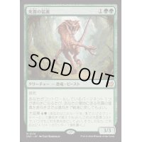 死霧の猛禽/Deathmist Raptor《日本語》【DSC】