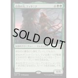 [EX+]自然の力、ティタニア/Titania, Nature's Force《日本語》【DSC】