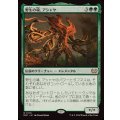 [EX+]野生の魂、アシャヤ/Ashaya, Soul of the Wild《日本語》【DSC】