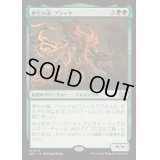 [EX+]野生の魂、アシャヤ/Ashaya, Soul of the Wild《日本語》【DSC】