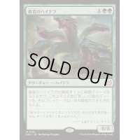 雑食のハイドラ/Hydra Omnivore《日本語》【DSC】