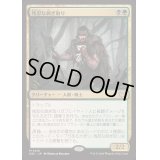 [EX+]残忍な剥ぎ取り/Grim Flayer《日本語》【DSC】