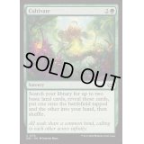 [EX+]耕作/Cultivate《英語》【DSC】
