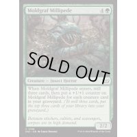 黴墓のヤスデ/Moldgraf Millipede《英語》【DSC】