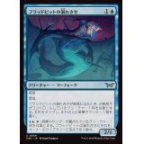 [EX+](FOIL)フラッドピットの溺れさせ/Floodpits Drowner《日本語》【DSK】