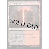 [EX+]血溜まりの洞窟/Bloodfell Caves《英語》【DSC】