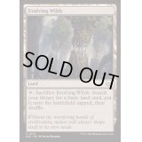 [EX+]進化する未開地/Evolving Wilds《英語》【DSC】