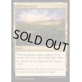 [EX+]興隆する荒野/Thriving Heath《英語》【DSC】