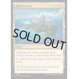 [EX+]興隆する島嶼/Thriving Isle《英語》【DSC】