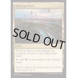 [EX+]興隆する湿地帯/Thriving Moor《英語》【DSC】