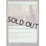 [EX+]平穏な茂み/Tranquil Thicket《英語》【DSC】