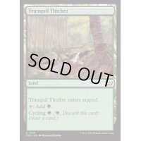 平穏な茂み/Tranquil Thicket《英語》【DSC】