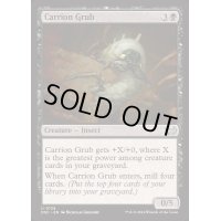 [EX+]屍肉地虫/Carrion Grub《英語》【DSC】