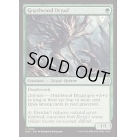 [EX+]節くれ木のドライアド/Gnarlwood Dryad《英語》【DSC】