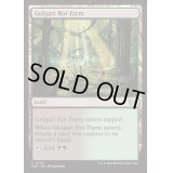 [EX+]ゴルガリの腐敗農場/Golgari Rot Farm《英語》【DSC】