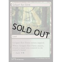 [EX+]ゴルガリの腐敗農場/Golgari Rot Farm《英語》【DSC】