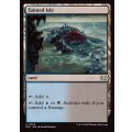 [EX+]汚れた島/Tainted Isle《英語》【DSC】